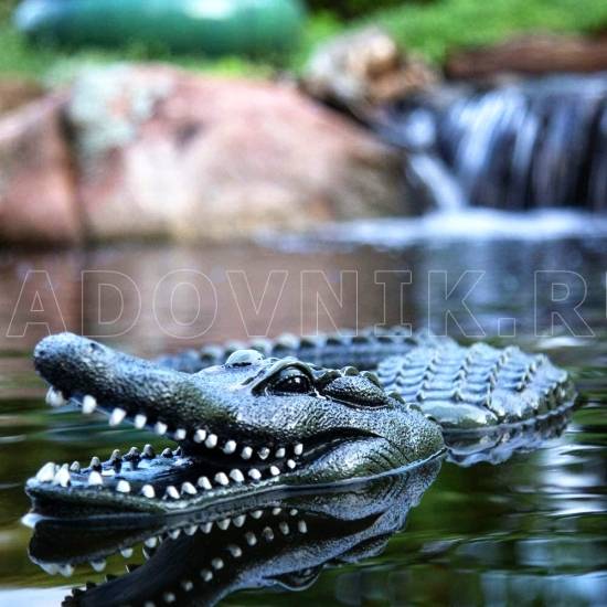 Декоративный плавающий аллигатор AQUASCAPE , арт. 93000 - Аксессуары для пруда